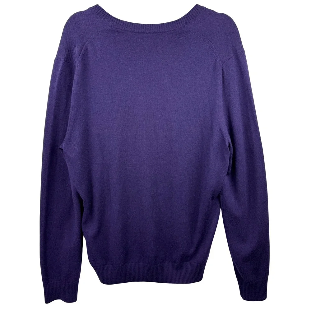 Banana Republic V-Neck Sweater Mens Large Purple Extra Fine Merino Wool Knit